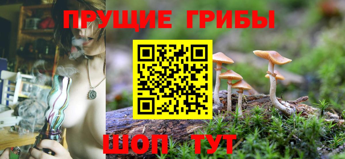 Псилоцибиновые грибы мухоморы Кондопога